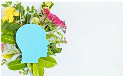 A floral background with the image of a profile face in blue sits to the left of a white background